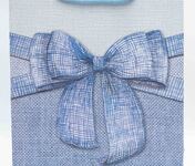 Pungi cadou M 18*23*10 Model Nr: 3