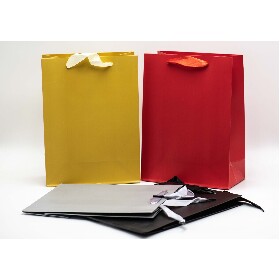 Pungi cadou M 18*23*10 Model Nr: 6