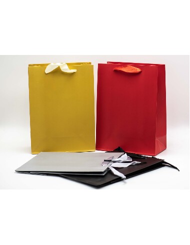 Pungi cadou M 18*23*10 Model Nr: 6