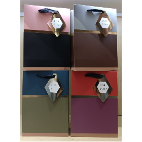 Pungi cadou M 18*23*10 Model Nr: 13