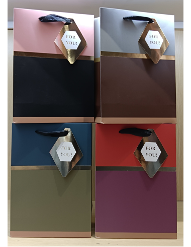 Pungi cadou M 18*23*10 Model Nr: 13