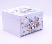 Cutie bijuterie 506169