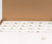 Glob zăpadă CQ02626