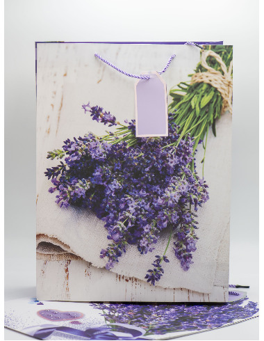 Pungi cadou XL 508641