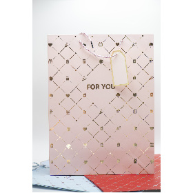 Pungi cadou L 508640