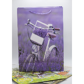 Pungi cadou L IND-284L