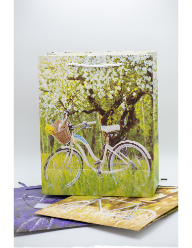 Pungi cadou XL IND-284XL