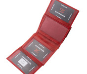 Sylvia Belmonte KSP120 - Rosu