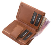 Sylvia Belmonte KSP120 - Marou